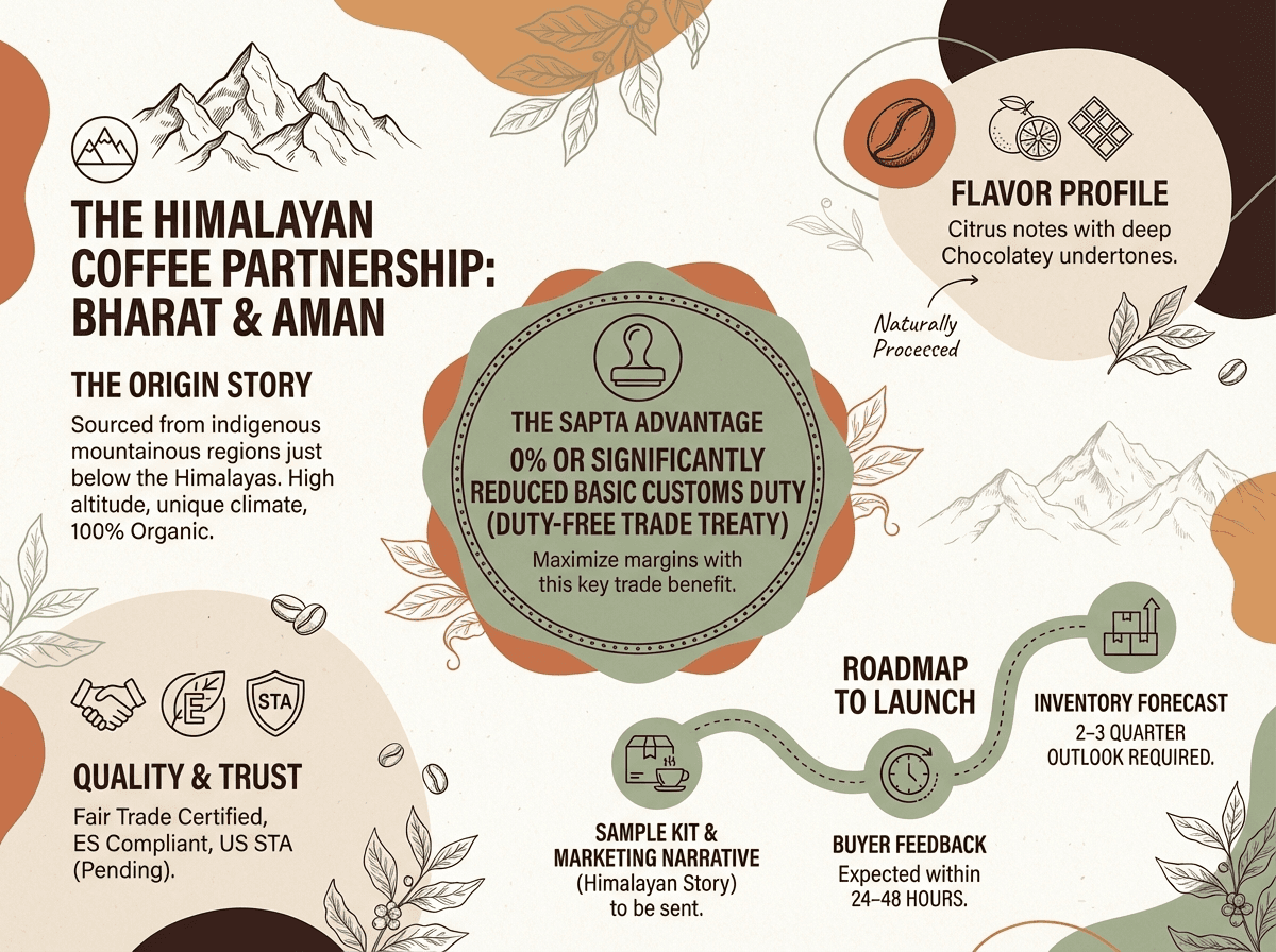 Example AI-generated infographic created from a conversation.